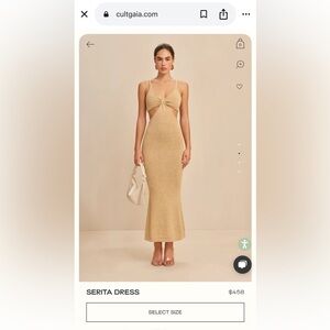 Cult Gaia Serita Dress in Gold